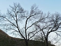 -妙峰山风景名胜区