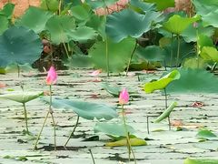 -苏州湾梦幻水世界