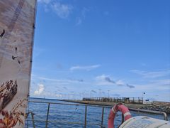 -日照世帆赛基地