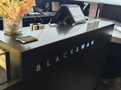 -BLACKSWAN黑天鹅(环球店)