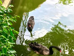 -广东茂名森林公园