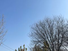 -太阳宫公园