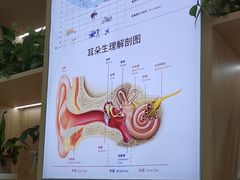 -自然之声助听器·呼吸机(康桥旗舰店)
