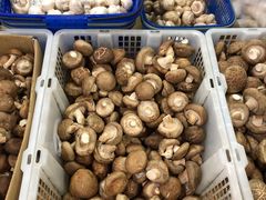 -江杨农产品批发市场