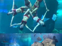 -泉城欧乐堡海洋极地世界