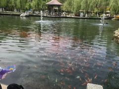 -水磨沟公园