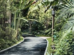 -碧桂园润杨溪谷温泉酒店