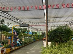 -南宫五洲植物乐园