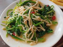 菠菜金针菇-二毛馕坑肉饭店