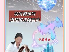 -宁耳听力助听器奥迪康峰力西门子斯达克(静安闸北店)
