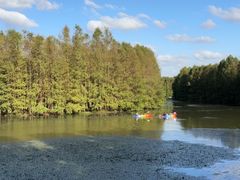 -上海海湾国家森林公园