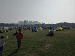 -昆山城市生态森林公园