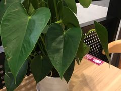 -康师傅私房牛肉面(申虹店)