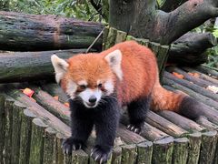 -云南野生动物园