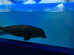 -多彩贵州城极地海洋世界