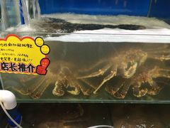 阿拉斯加长脚蟹-蚝专家(北滘店)