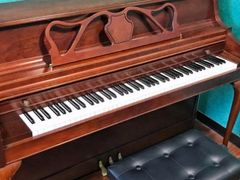 -弘智卉艺术教育/高端琴房(中央音乐学院店)