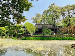 -桂湖森林公园