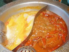 -麻田会 ·鲜活现烹·牛蛙火锅(珠江新城维家思广场店)
