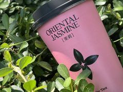 -茉莉奶白(天水秦州万达广场店)