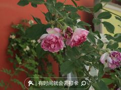 -北京石刻艺术博物馆
