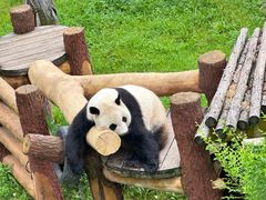 -沈阳森林动物园