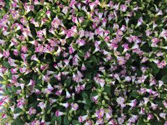 -浙江万里学院(钱湖校区)