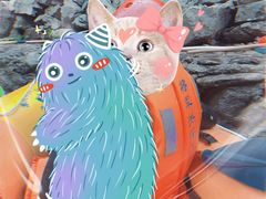 -将军关探险漂流