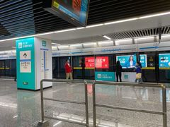 -大龙山(地铁站)