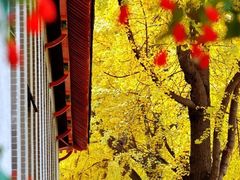 -四川大学(华西校区)