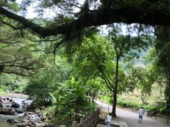 -广州市石门国家森林公园