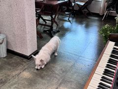 -绿房子方寸咖啡(星海名城店)