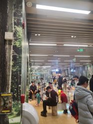 -小象动悟公园(龙湖亦庄天街店)