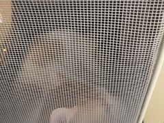 -宠福鑫动物医院(立水桥分院)