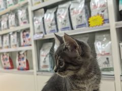 -宠颐生中康贝怡动物医院