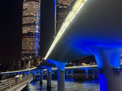 -演武大桥观景平台