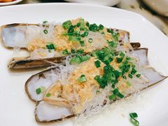-海王老记
