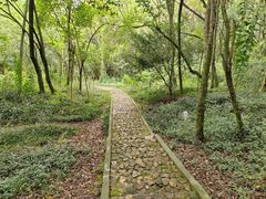 -上海佘山国家森林公园天马山园