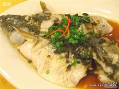 CIMG0944-渔旺喜宴(银座店)