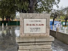 -赵州桥景区