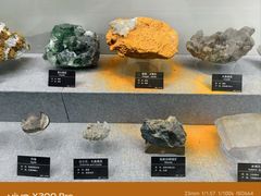 -甘肃地质博物馆