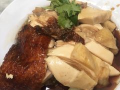 -伍秀泽海南鸡饭茶室