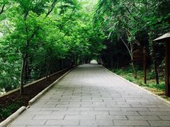 -青檀寺景区
