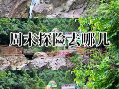 -南海湾森林生态园