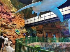 -青岛嘉年华主题乐园