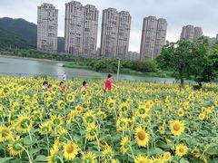 -龙江公园
