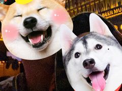 -啤客走廊
