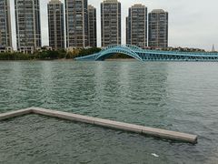 -五缘湾湿地公园