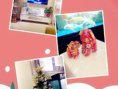 -维乐口腔(格林门诊长宁店)