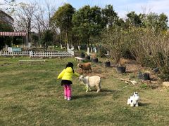 -上海滴水湖皇冠假日酒店